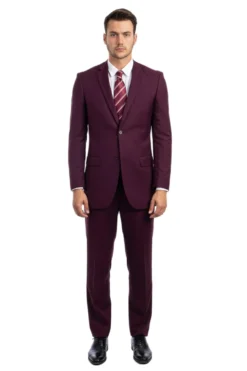 Bacchus Collection - Modern Fit Suit 2 Button 2 Piece in Burgundy
