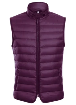 Berry Regular Classic Fit Goose Down Vest