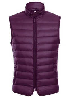Berry Regular Classic Fit Goose Down Vest