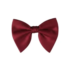Burgundy Butterfly Bow Tie