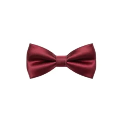 Burgundy Satin Bow Tie