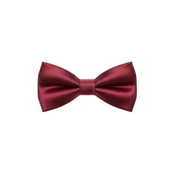Burgundy Satin Bow Tie