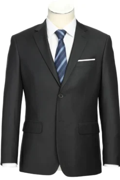 Men's Regular Fit Formal 2-Piece Suit - Black