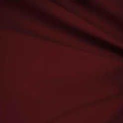 Men's Burgundy Regular Fit Everyday Blazer