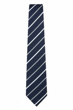 Navy Diagonal Striped Textured Tie