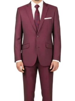 (46R, 50L) Slim Fit 2 Piece Suit in Burgundy
