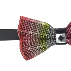 Rainbow Sparkling Crystal Adjustable Men's Bow Tie Accessory Box