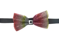 Rainbow Sparkling Crystal Adjustable Men's Bow Tie Accessory Box
