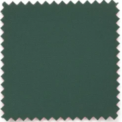 Vanderbilt Collection - Classic 2 Piece Suit 2 Buttons Regular Fit In Green