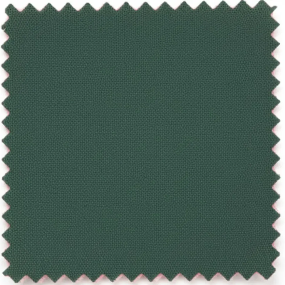 Vanderbilt Collection - Classic 2 Piece Suit 2 Buttons Regular Fit In Green