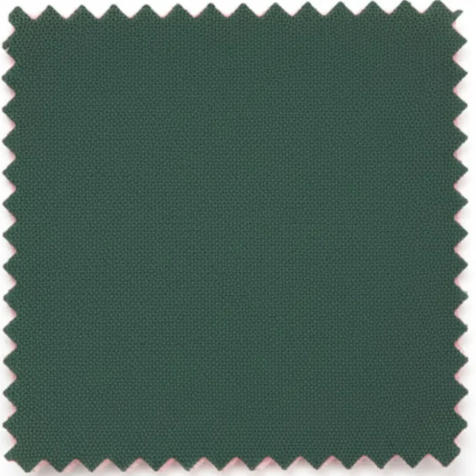 Vanderbilt Collection - Classic 2 Piece Suit 2 Buttons Regular Fit In Green