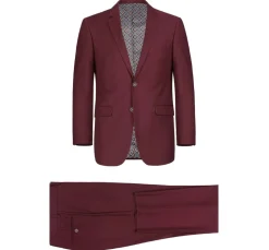 Vanderbilt Collection - Classic 2 Piece Suit 2 Buttons Regular Fit In Burgundy