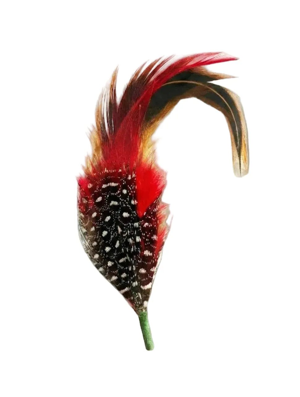 Vivid Crimson & Gold Signature Hat Feather - Hand-Selected Plume